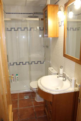a bathroom with a sink and a shower and a toilet at Casa con patio Toledano y terraza con vistas in Toledo