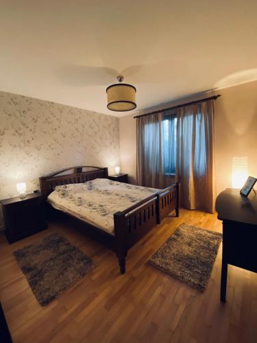 um quarto com uma cama e uma grande janela em City Centre Apartment em Reghin