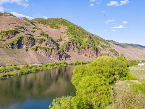 ミュルハイム・アン・デア・モーゼルにあるHotel zur Postの木々と山を背景にした川