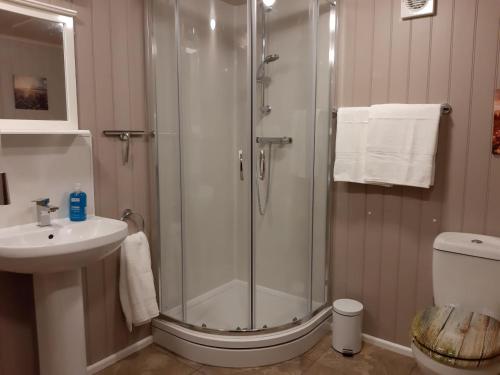 a bathroom with a shower and a sink at Wyldwood Lodge in Cheadle
