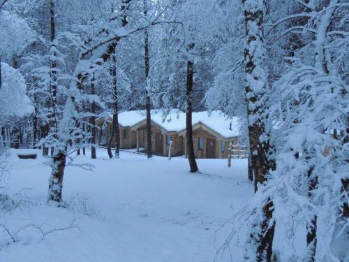 Wyldwood Lodge during the winter