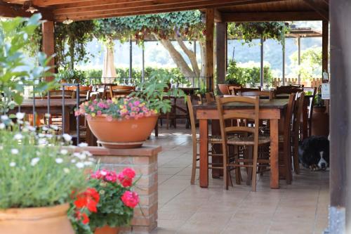 a restaurant with tables and chairs and plants and a cat at Agriturismo San Cataldo in Motta Camastra