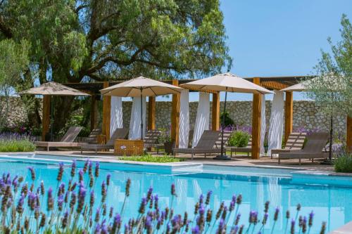 a swimming pool with chairs and umbrellas at Viñedos San Francisco in San Miguel de Allende