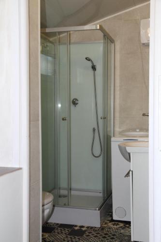 y baño con ducha, aseo y lavamanos. en La Pommeraie Studio, en Vernet-les-Bains