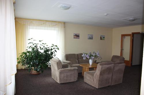 a living room with two chairs and a table and a plant at Hotel Madona in Madona