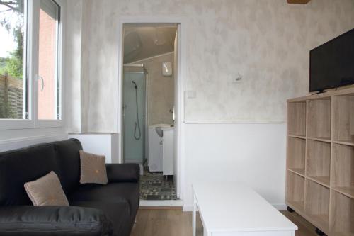 un soggiorno con divano e TV di La Pommeraie Studio a Vernet-les-Bains