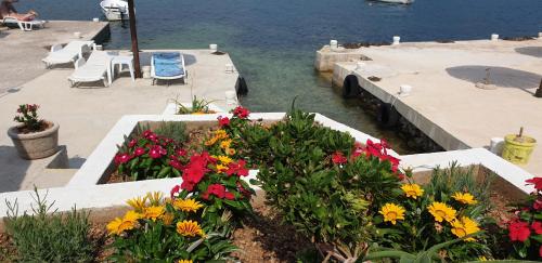 a bunch of flowers in a garden next to the water at Apartments Klakor PS in Tivat
