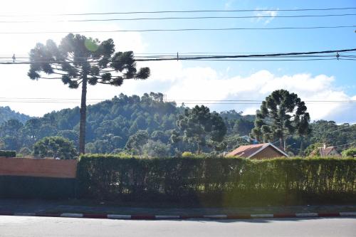 a view of a palm tree and a mountain at Pousada Campos do Jordão in Campos do Jordão