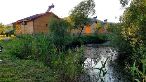 a house and a pond in front of a building at La Podul Gornii in Gornea