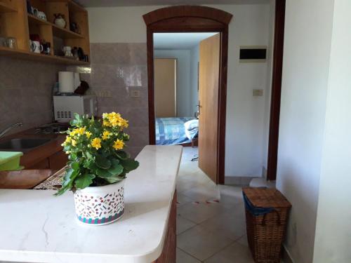 een vaas met bloemen op een aanrecht in een keuken bij bellavista appartment in Piran