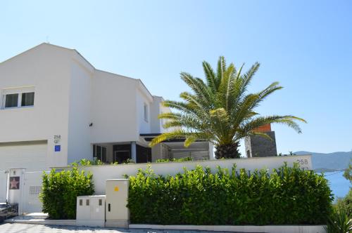 a white house with a palm tree in front of it at Villa Mare in Klek