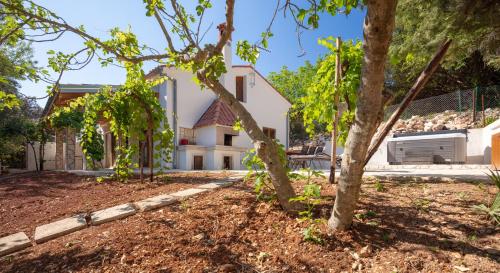 a house with a tree in front of it at Al Pino Blue Property in Premantura