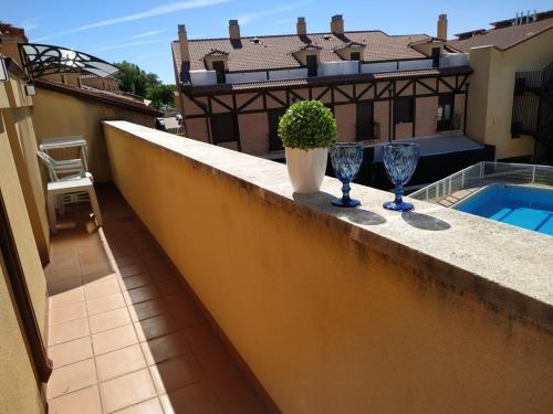 balkon z dwoma kieliszkami i rośliną na nim w obiekcie VEGA-ARANDA w mieście Fresnillo de las Dueñas