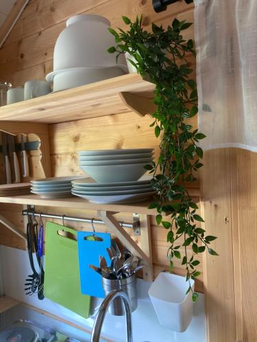 a kitchen shelf with dishes and a plant on it at Asplunda Gård, Kolmården stuga nr 1 in Kolmården