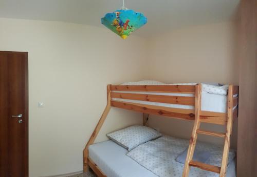 a bunk bed with a ladder in a room at Apartment Tánička - Chopok Juh, Tále in Brezno