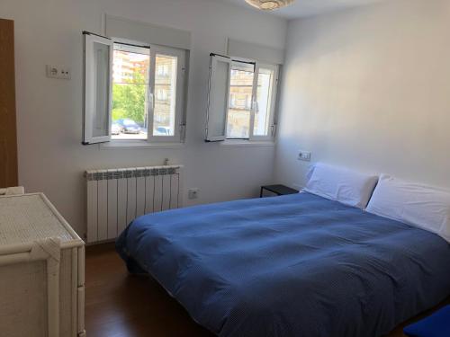 1 dormitorio con 1 cama azul y 2 ventanas en Polvorín en Ourense