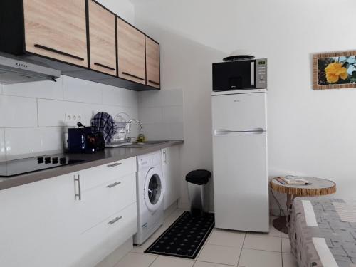 eine Küche mit einem Kühlschrank und einer Waschmaschine in der Unterkunft Petite Callebasse in Cayenne