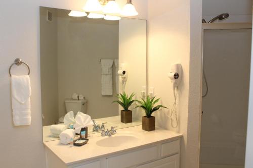 a bathroom with a sink and a large mirror at 205 - Disney, Universal, Convention Center in Orlando