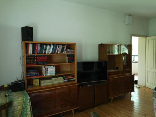 sala de estar con TV y estante de libros en Nyugalomsziget, en Kötcse