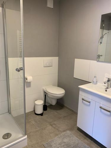 y baño con aseo, lavabo y ducha. en Ferienwohnung Felix, en Schleswig