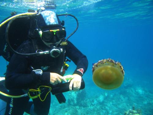 a diver with a ball in the water at Hotel Priscapac Resort & Apartments in Prizba