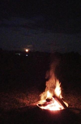 a bonfire in the middle of a field at night at LA LIVADA in Valea Danului