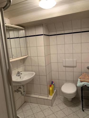 La salle de bains est pourvue de toilettes et d'un lavabo. dans l'établissement kuscheliges Marburg, à Marbourg