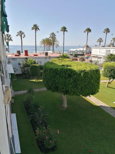 Apartamento delfin verde