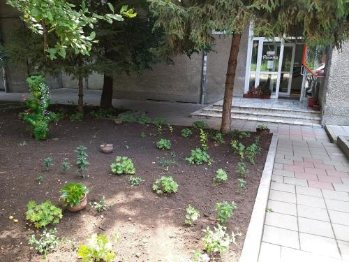 un jardín con plantas y árboles frente a un edificio en Hotel Rositsa, en Veliko Tŭrnovo