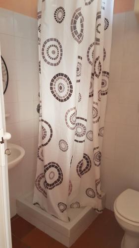 y baño con cortina de ducha y aseo. en For Two Monolocali en Marina di Camerota