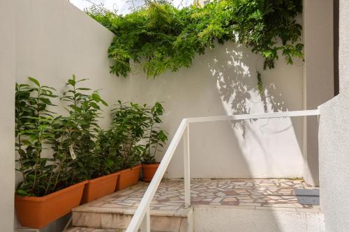 Κήπος έξω από το Lagom Hotel