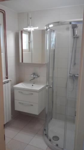een badkamer met een wastafel en een douche bij apartma med oljkami in Portorož