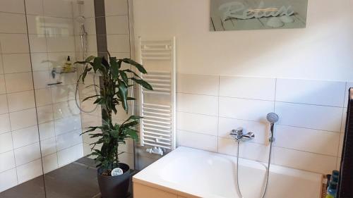 a bathroom with a shower and a plant at Andrés Ferienwohnung in Cottbus
