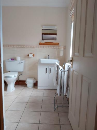 a bathroom with a sink and a toilet at Byerley House in Newmarket
