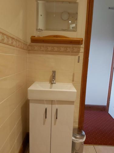a bathroom with a sink and a mirror at Byerley House in Newmarket