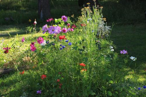 a garden with colorful flowers in the grass at souslens, Castaignos-Souslens 40 in Castaignos-Souslens