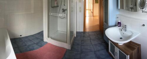 a bathroom with a shower and a sink at Felicidad in Löchgau