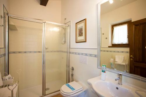 a bathroom with a shower and a toilet and a sink at La Renaia in Cortona