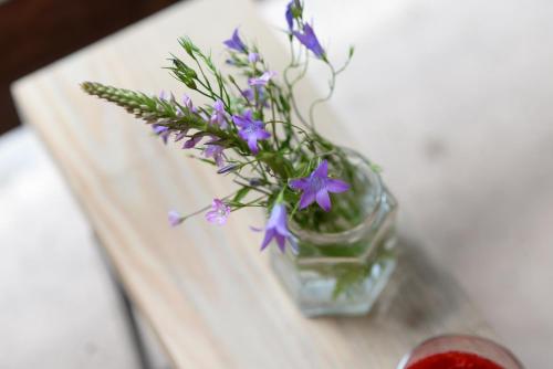 a vase filled with purple flowers on a table at Cabin & Apartment Kopaonik in Kopaonik