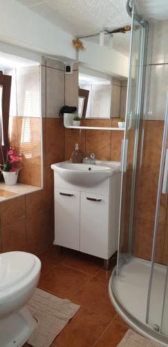 a bathroom with a toilet and a sink and a shower at Apartment Rafael in Senj