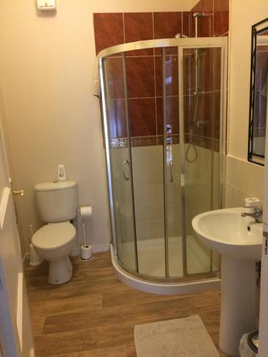 ein Bad mit einer Dusche, einem WC und einem Waschbecken in der Unterkunft Walkers Lodge in Broadford