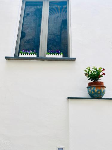 a window with a potted plant on a ledge at Ravello 23 Accommodation in Ravello