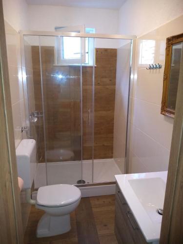 a bathroom with a shower and a toilet and a sink at House Filip in Bogomolje