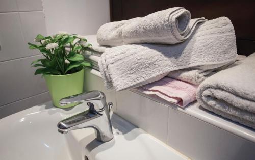 - un lavabo dans la salle de bains avec des serviettes et une plante sur une étagère dans l'établissement Casa Melissa, à Venise