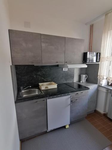 Una cocina o kitchenette en Apartman Vidojković 2