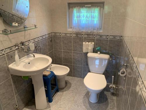 łazienka z toaletą i umywalką w obiekcie Ubytování Čeladná w mieście Czeladna