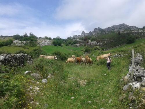 Φυσικό τοπίο κοντά σε αυτό το πανδοχείο