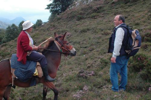 Posada El Mirador