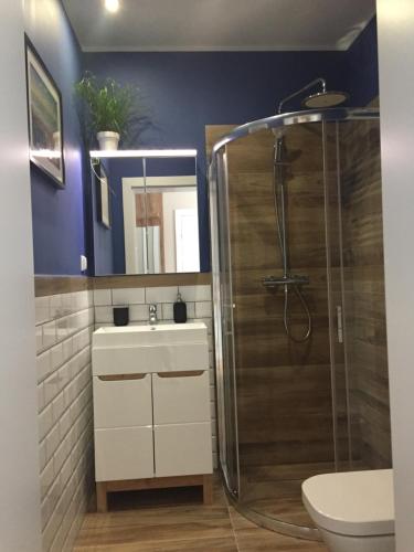 a bathroom with a sink and a shower at Sunset Resort Apartament Marco Marina in Grzybowo