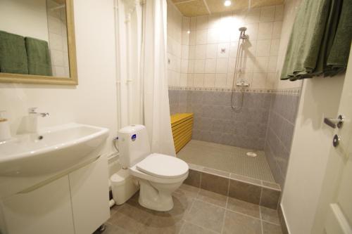 a bathroom with a toilet and a sink and a shower at Panda House - Luxury in Old Town in Tartu